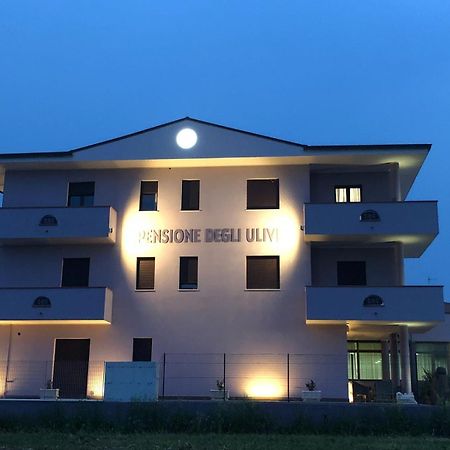 Pensione Degli Ulivi Porto SantʼElpidio Extérieur photo