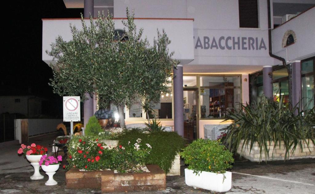 Pensione Degli Ulivi Porto SantʼElpidio Extérieur photo