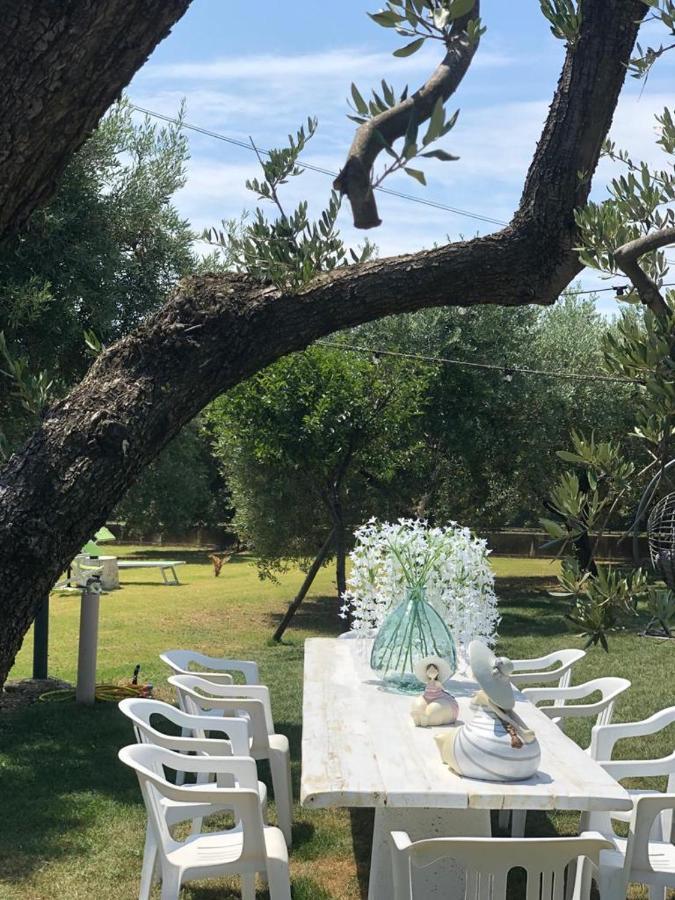 Pensione Degli Ulivi Porto SantʼElpidio Extérieur photo