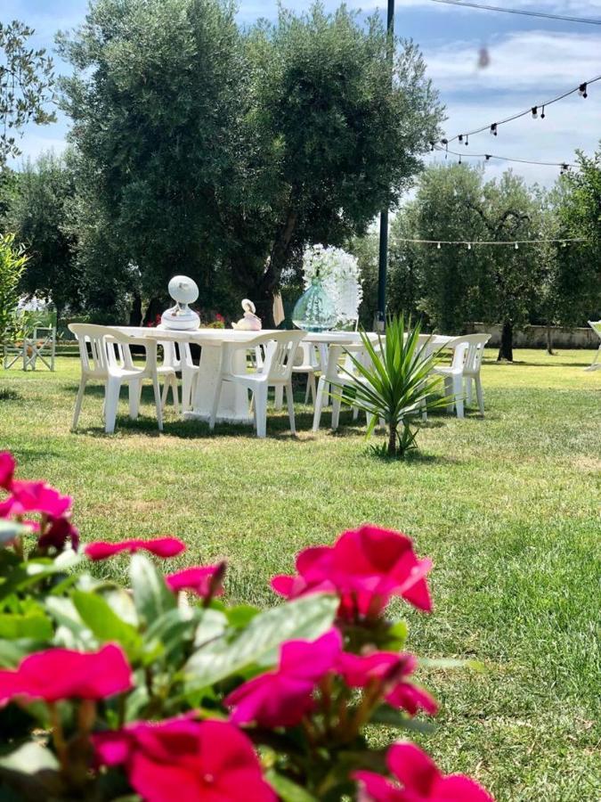 Pensione Degli Ulivi Porto SantʼElpidio Extérieur photo