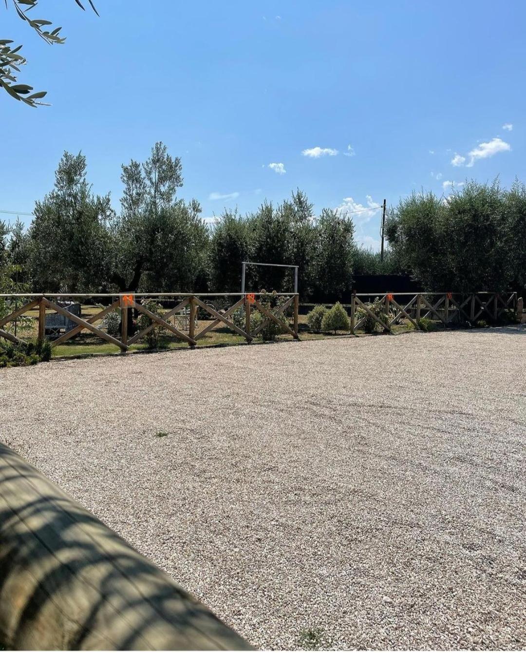 Pensione Degli Ulivi Porto SantʼElpidio Extérieur photo