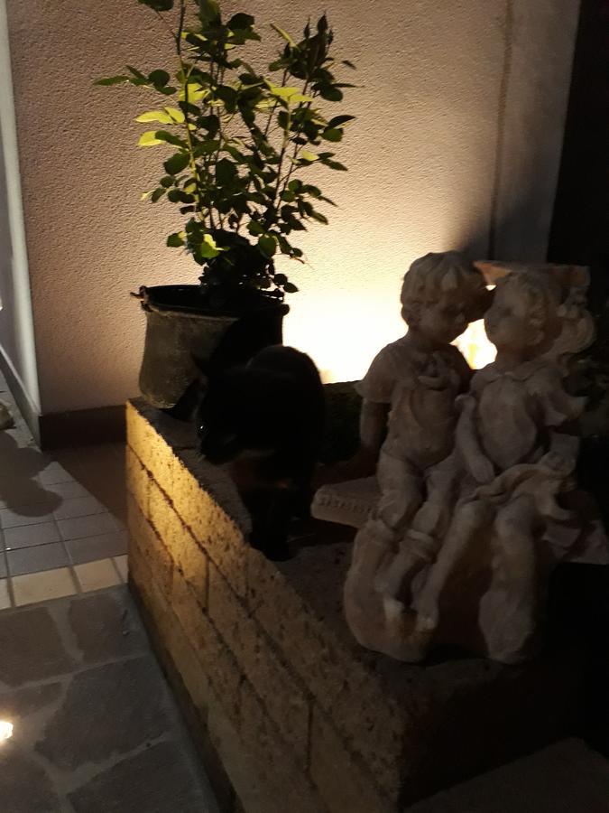 Pensione Degli Ulivi Porto SantʼElpidio Extérieur photo